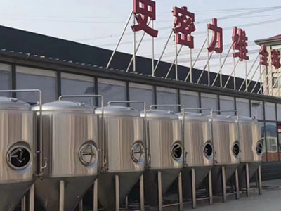 迎泽精酿啤酒设备厂—市场规模与跨界新需求